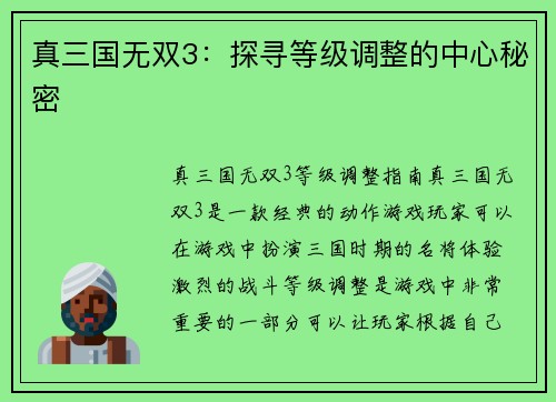 真三国无双3：探寻等级调整的中心秘密