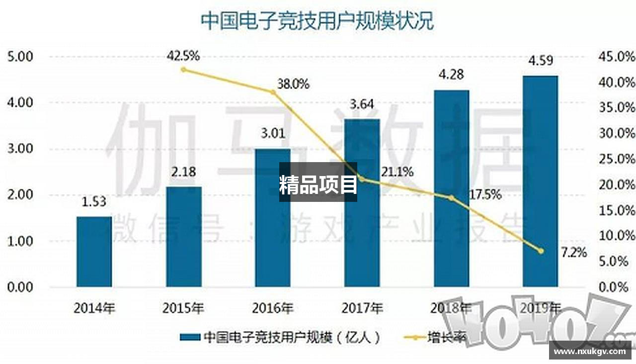 精品项目